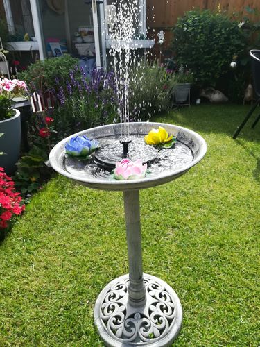 Customer Review Photo