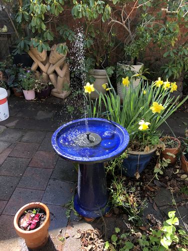 Customer Review Photo