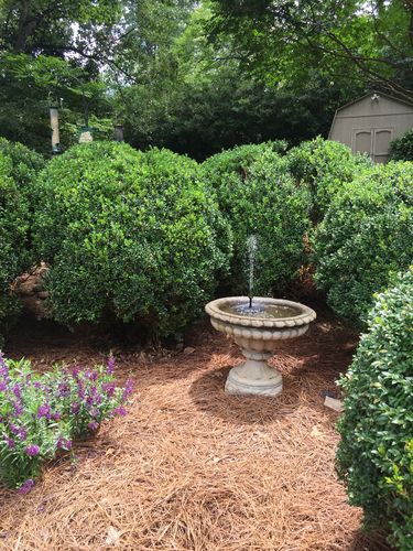 Customer Review Photo