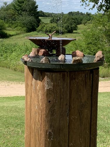 Customer Review Photo