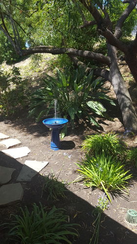 Customer Review Photo