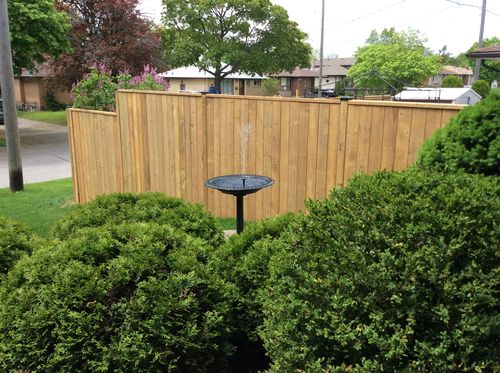 Customer Review Photo