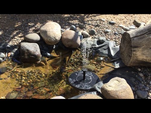 Customer Review Photo