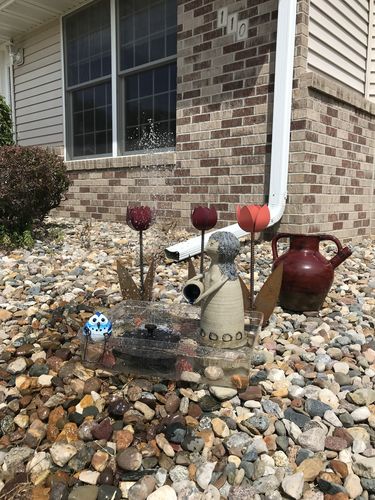 Customer Review Photo