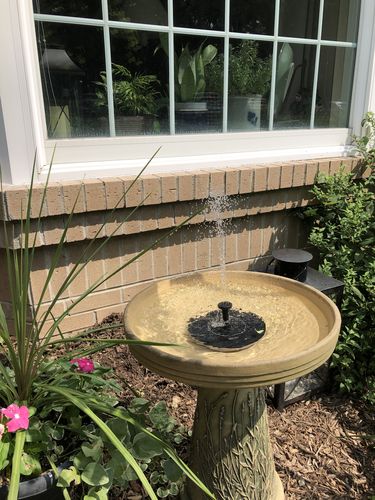 Customer Review Photo