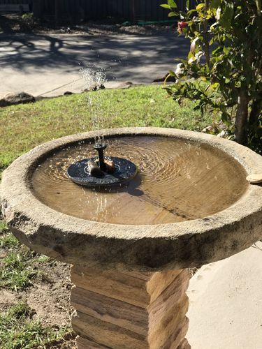 Customer Review Photo