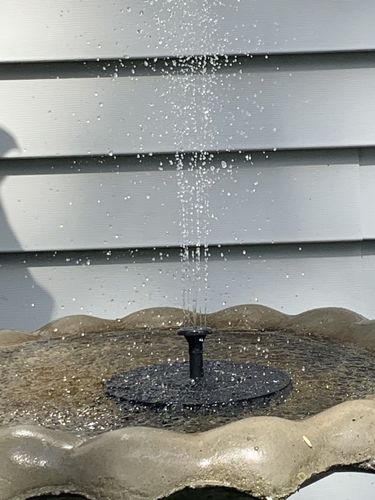 Customer Review Photo