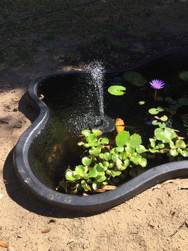 Customer Review Photo