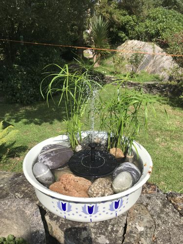 Customer Review Photo