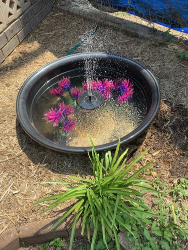 Customer Review Photo