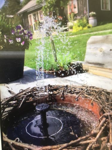 Customer Review Photo