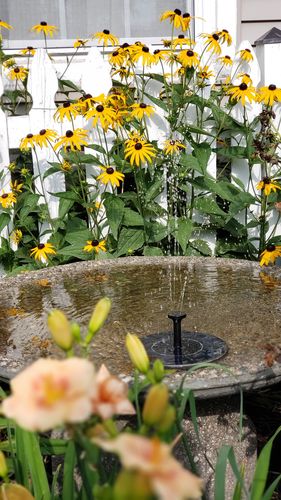 Customer Review Photo