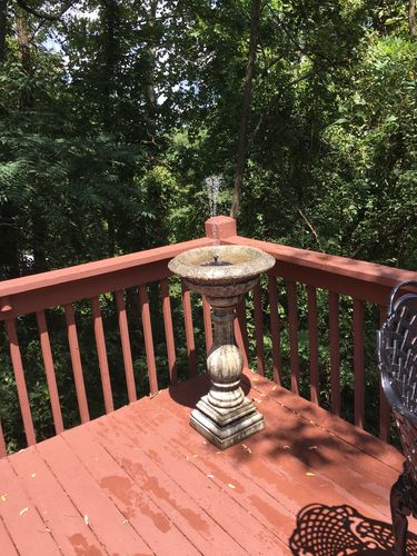 Customer Review Photo