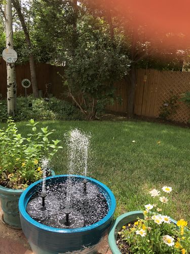 Customer Review Photo