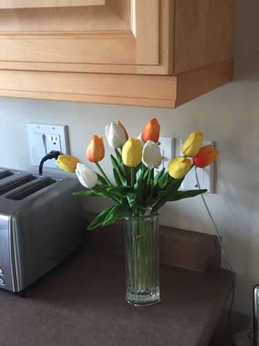 Customer Review Photo
