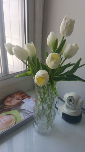 Customer Review Photo