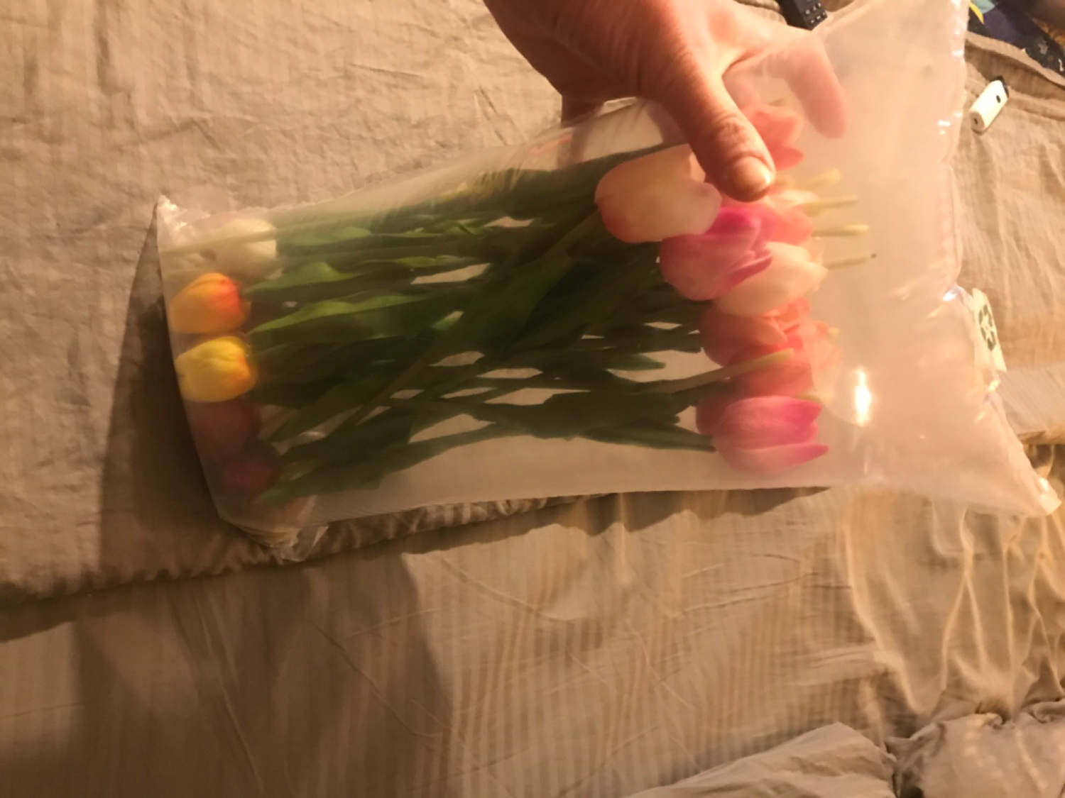Customer Review Photo