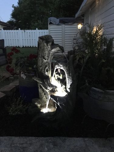 Customer Review Photo