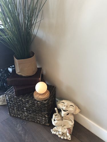 Customer Review Photo
