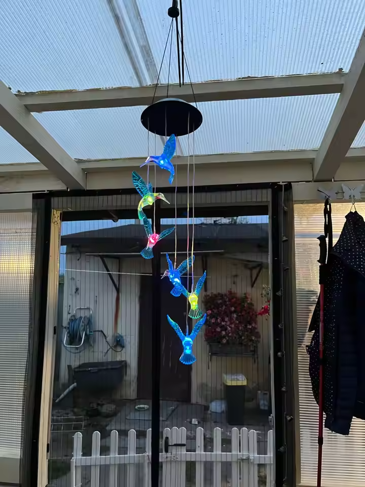 Customer Review Photo