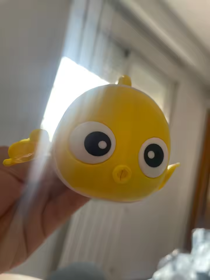 Customer Review Photo