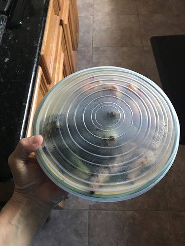 Customer Review Photo