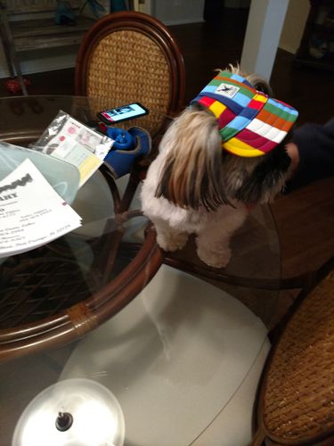 Customer Review Photo