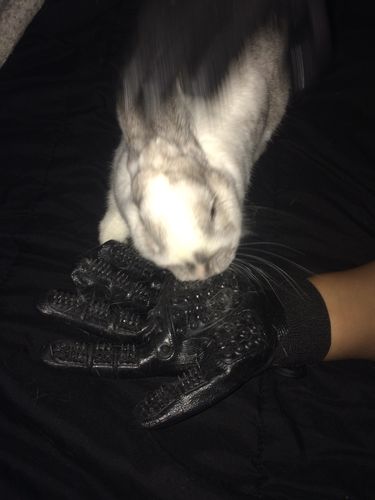 Customer Review Photo