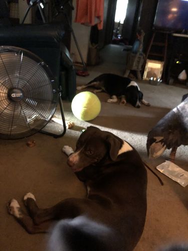 Customer Review Photo