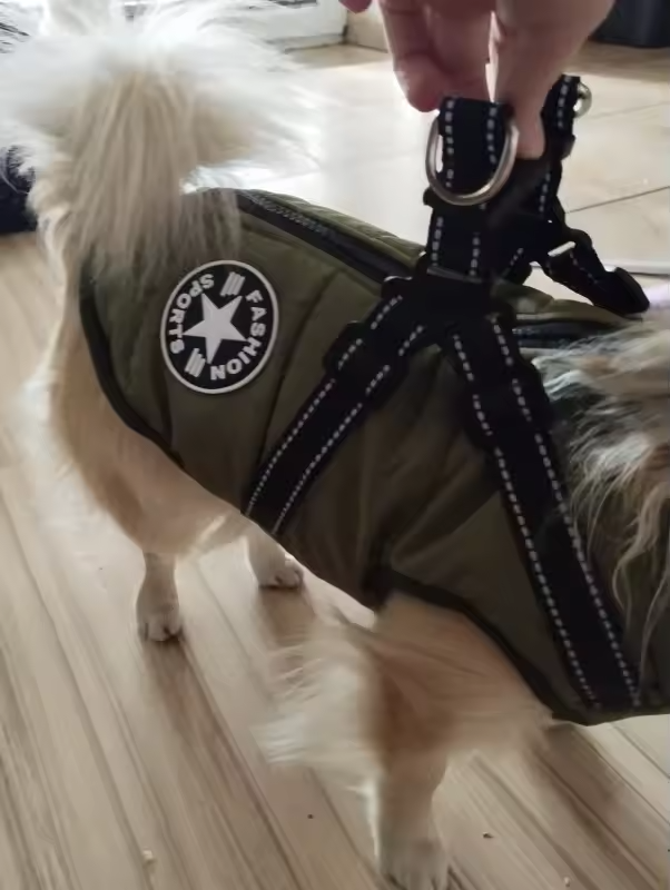 Customer Review Photo