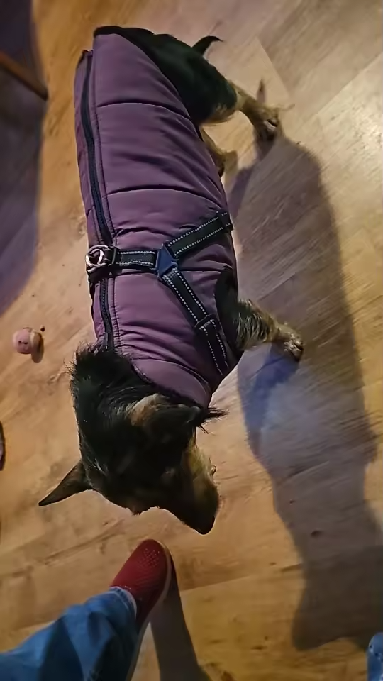 Customer Review Photo