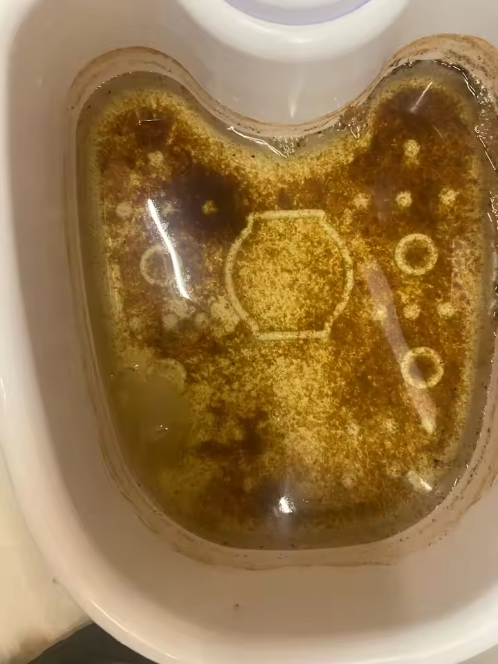 Customer Review Photo