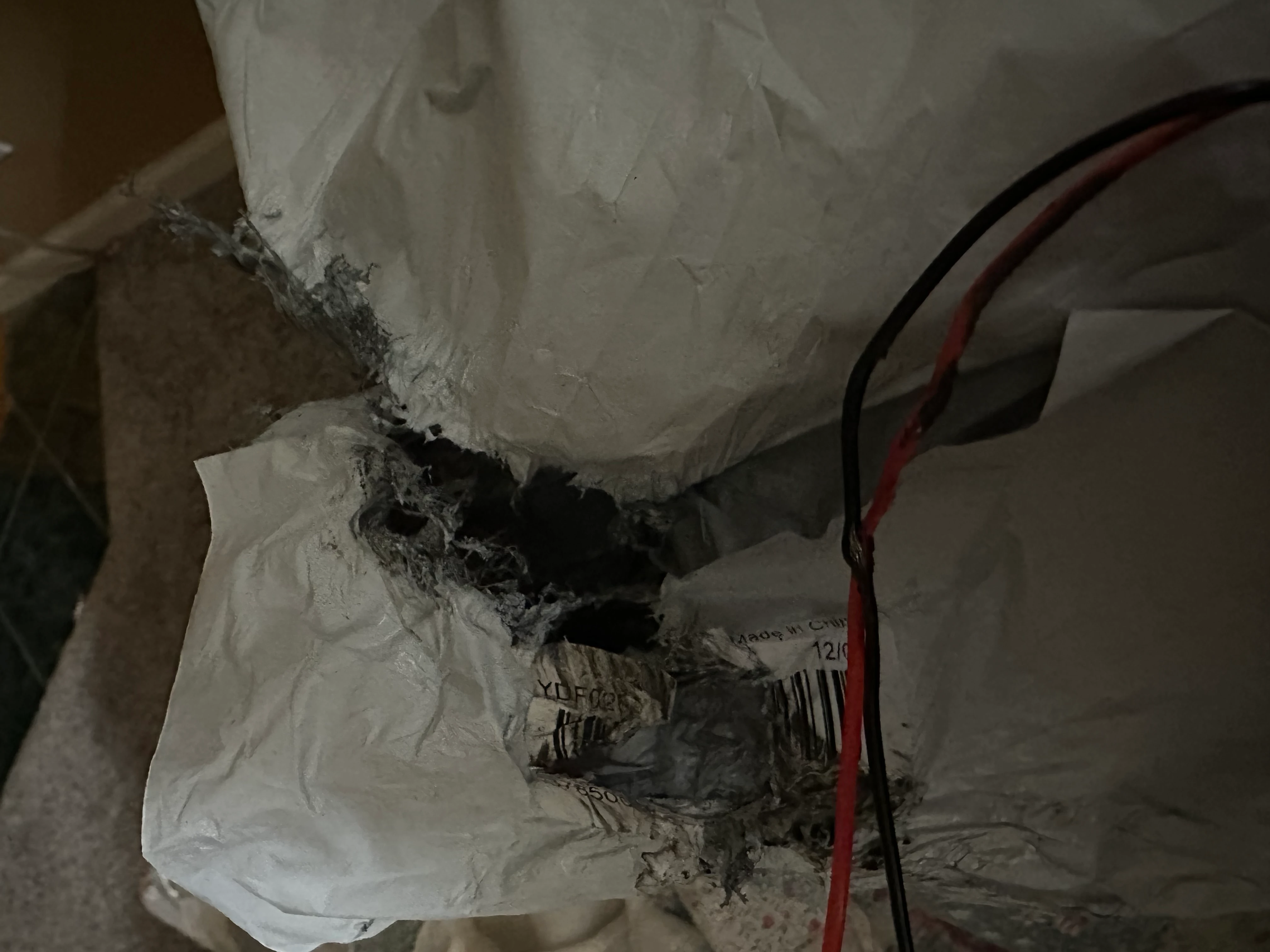 Customer Review Photo