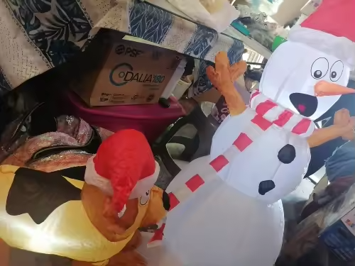 Customer Review Photo