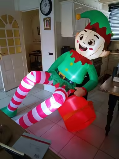 Customer Review Photo