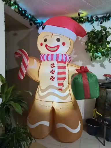 Customer Review Photo