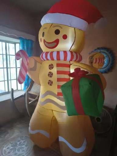 Customer Review Photo