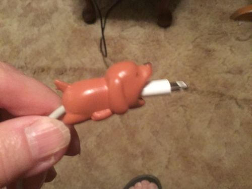 Customer Review Photo