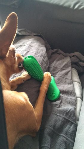 Customer Review Photo