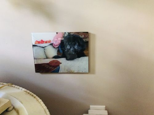 Customer Review Photo