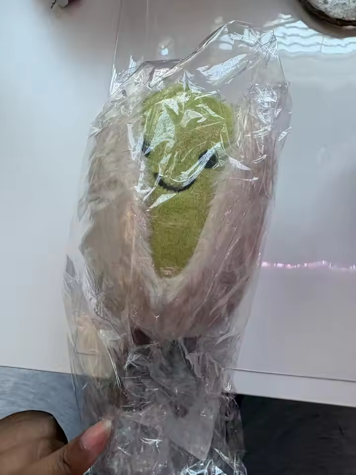 Customer Review Photo