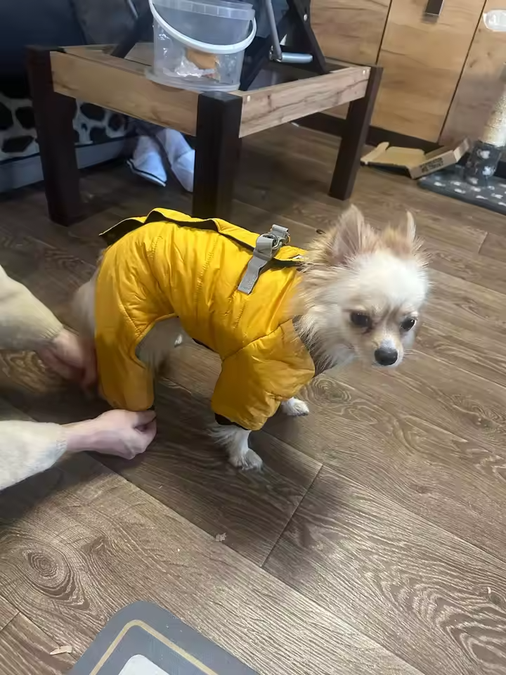 Customer Review Photo