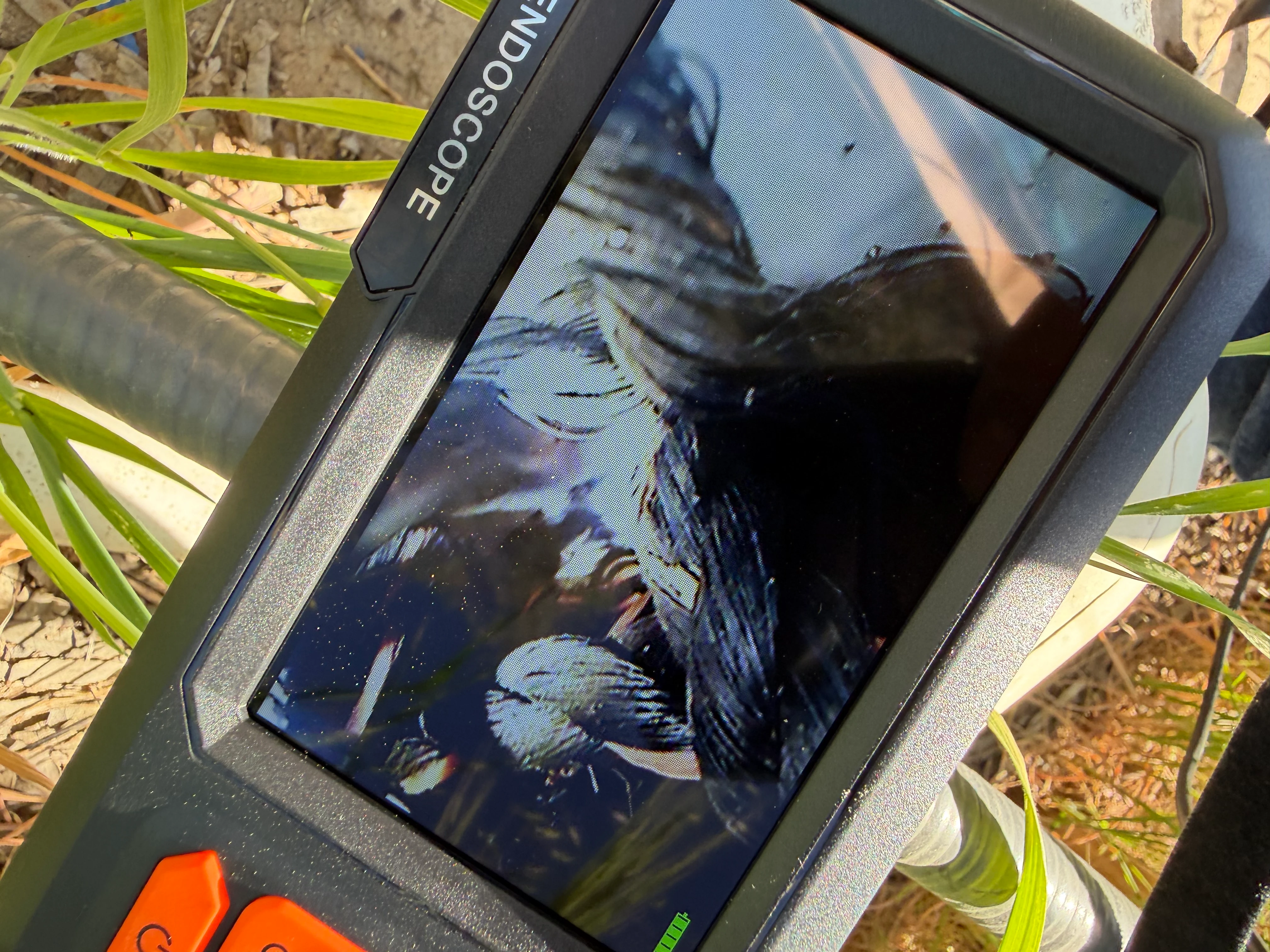 Customer Review Photo