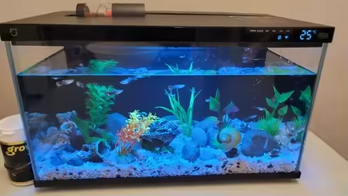 Customer Review Photo