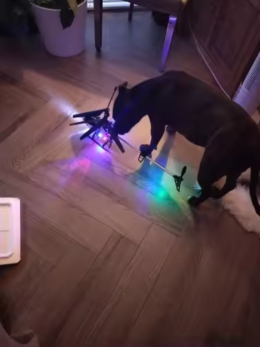 Customer Review Photo