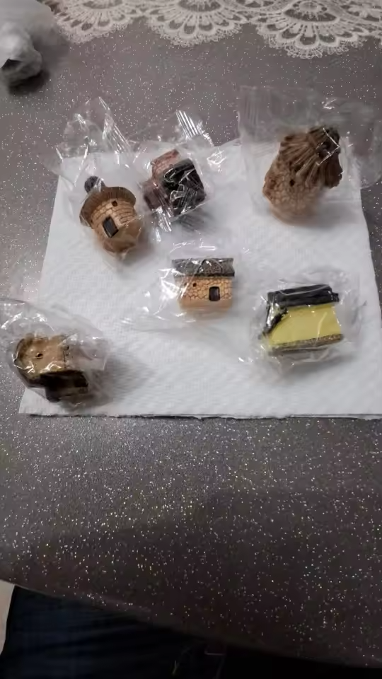 Customer Review Photo