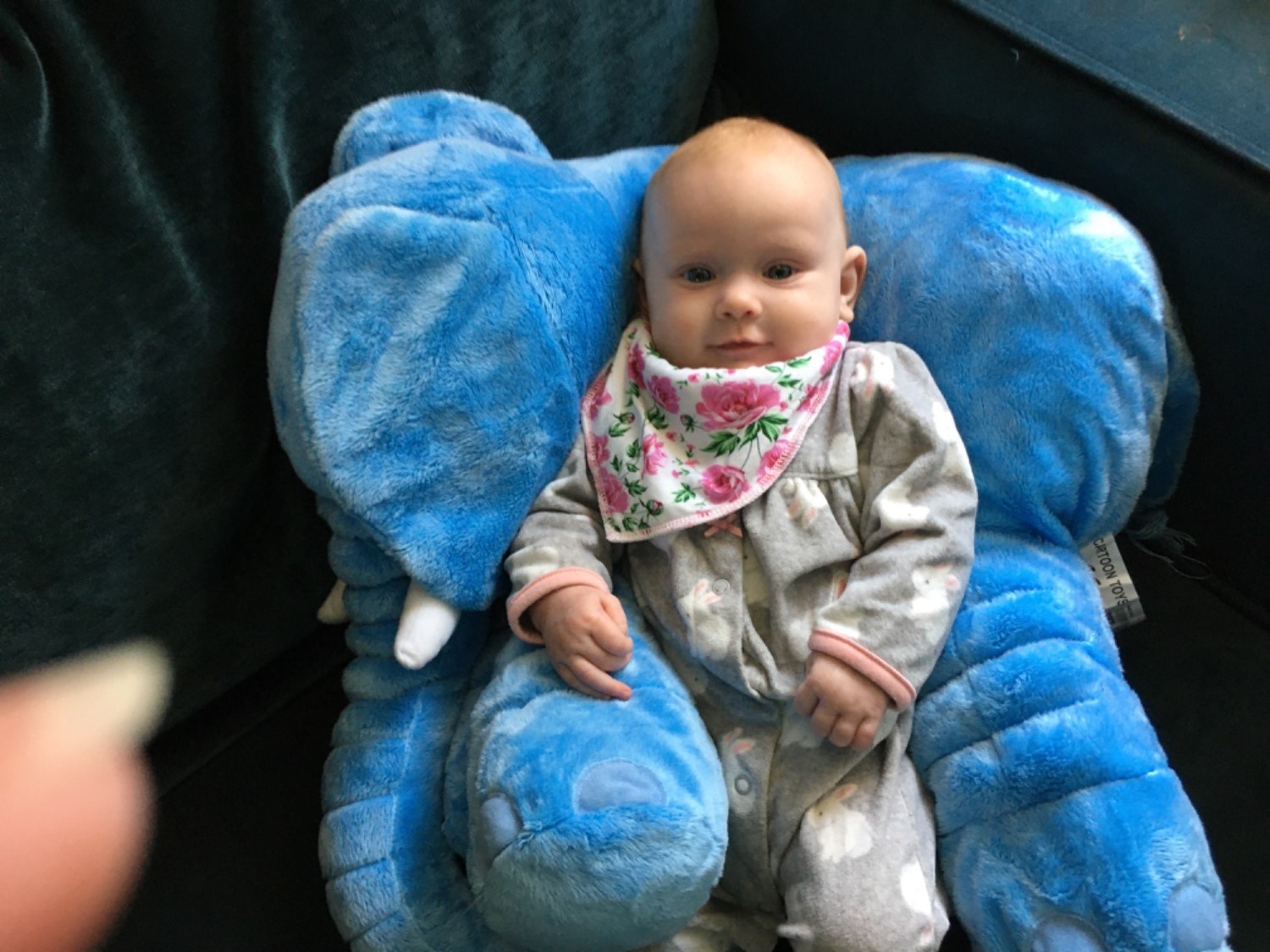 Customer Review Photo