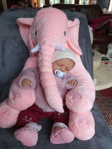 Customer Review Photo