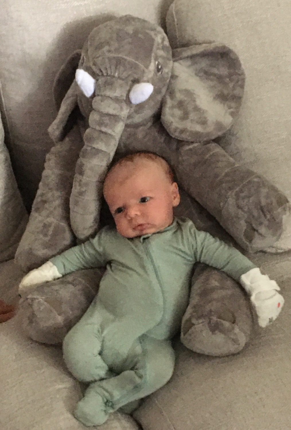 Customer Review Photo