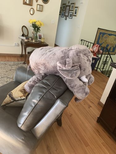 Customer Review Photo